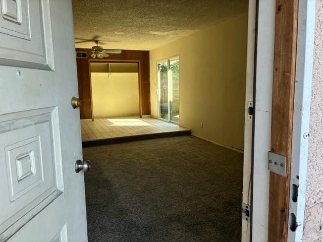 240 E Bianchi Road