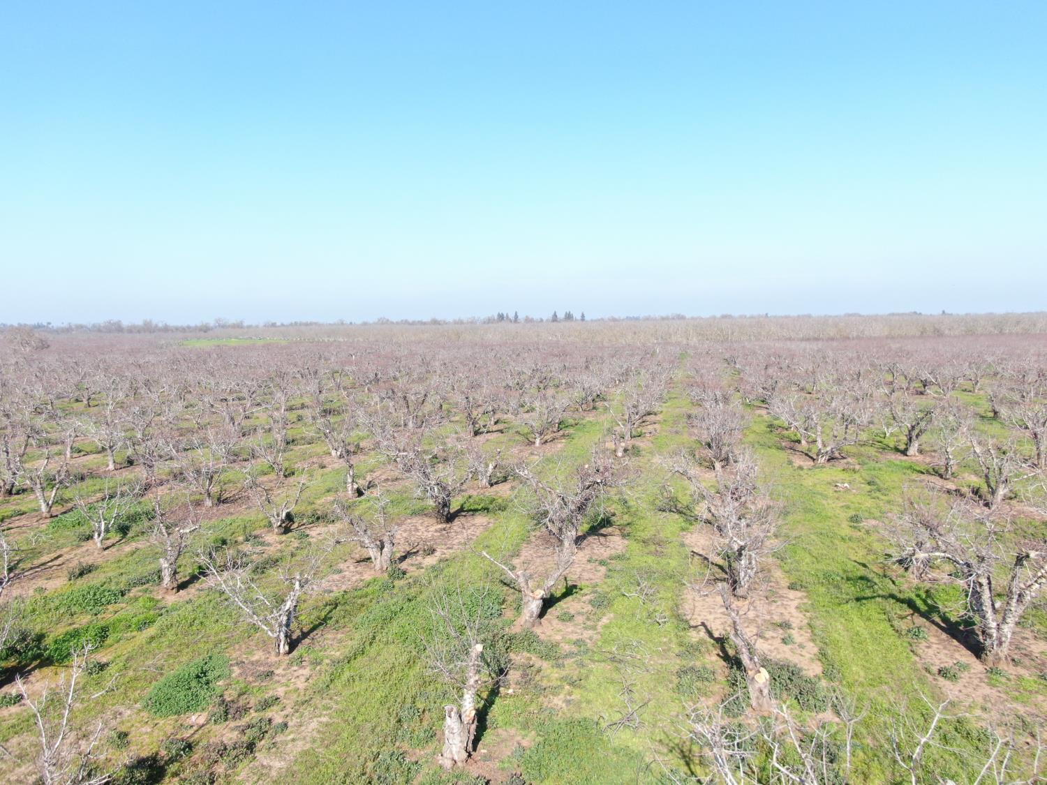 12255 E Eight Mile Road