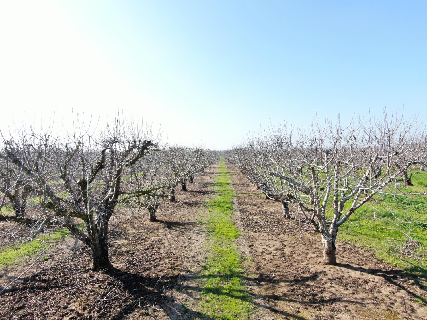 12255 E Eight Mile Road