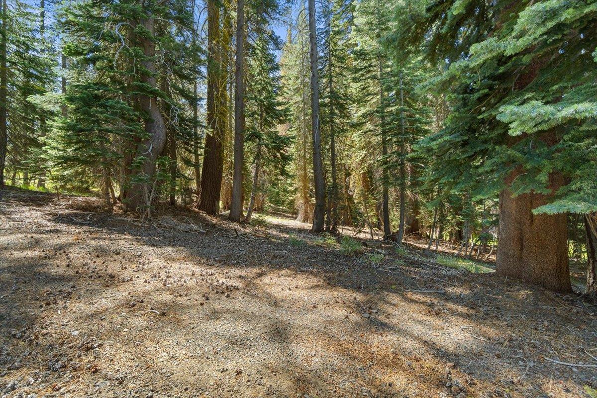 20414 US Highway 50