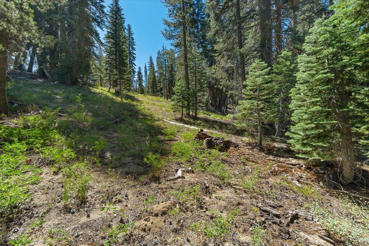20414 US Highway 50
