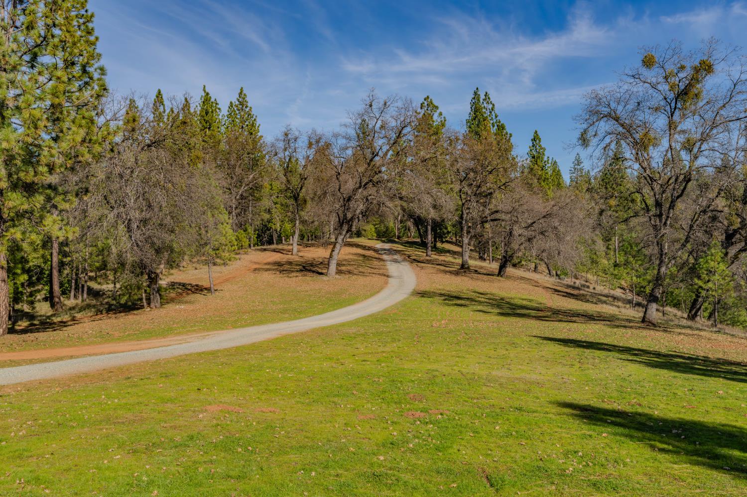 7401 Schaad Road