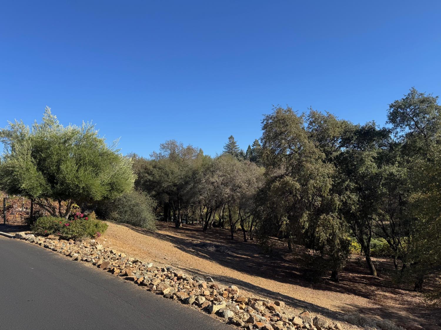2610 Vineyard Drive