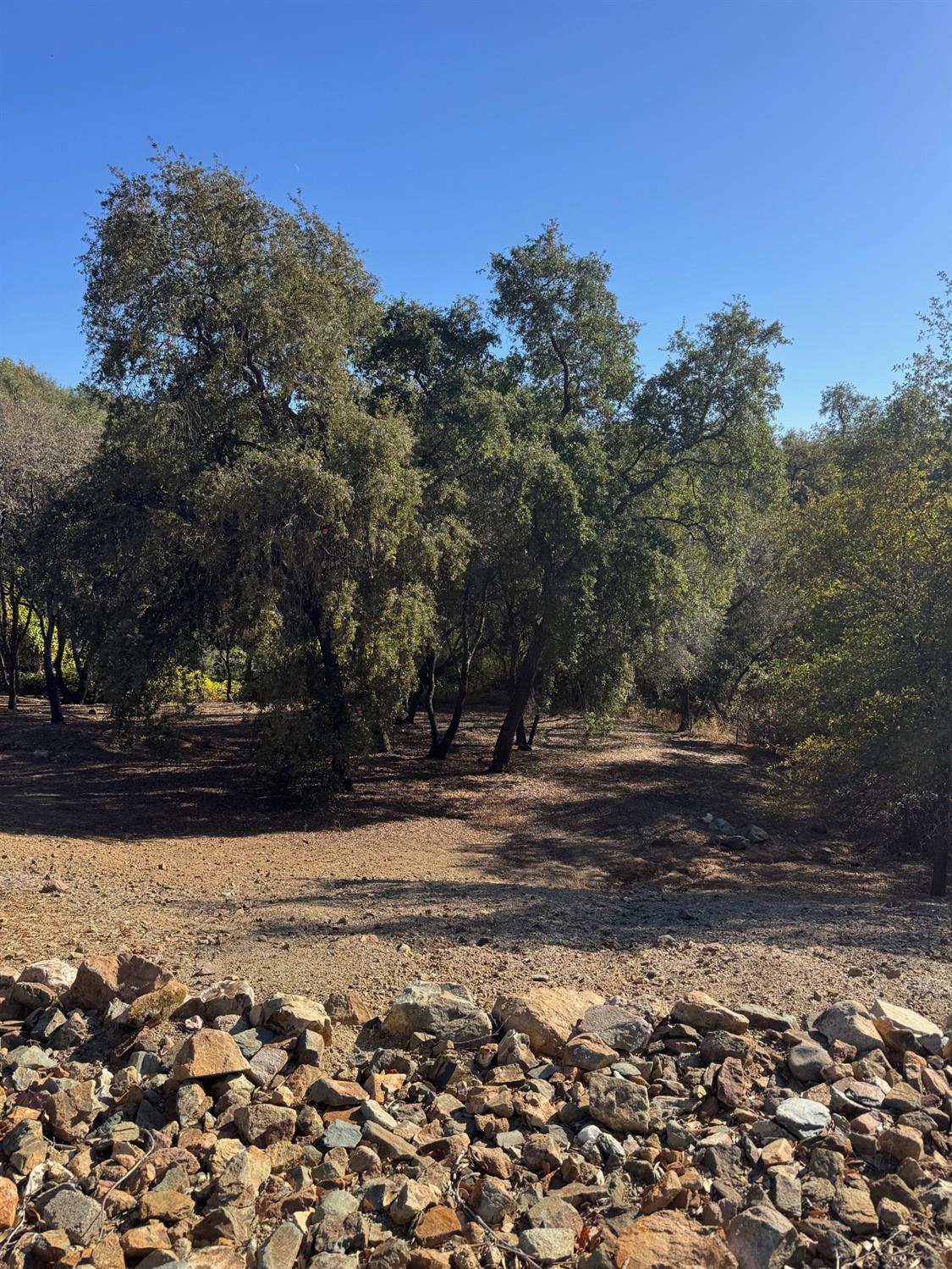 2610 Vineyard Drive
