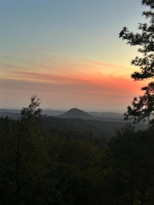 20117 NEILSON RD, PINE GROVE, CA 95665 - Image 74b9ccd1ed1e0077ffa93df080712122/1467794377