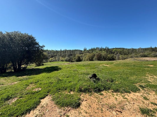 GREENBUSH RD, OROVILLE, CA 95966 - Image 74e01cd4d99f2c845ddfdec38a04daa9/2951080141