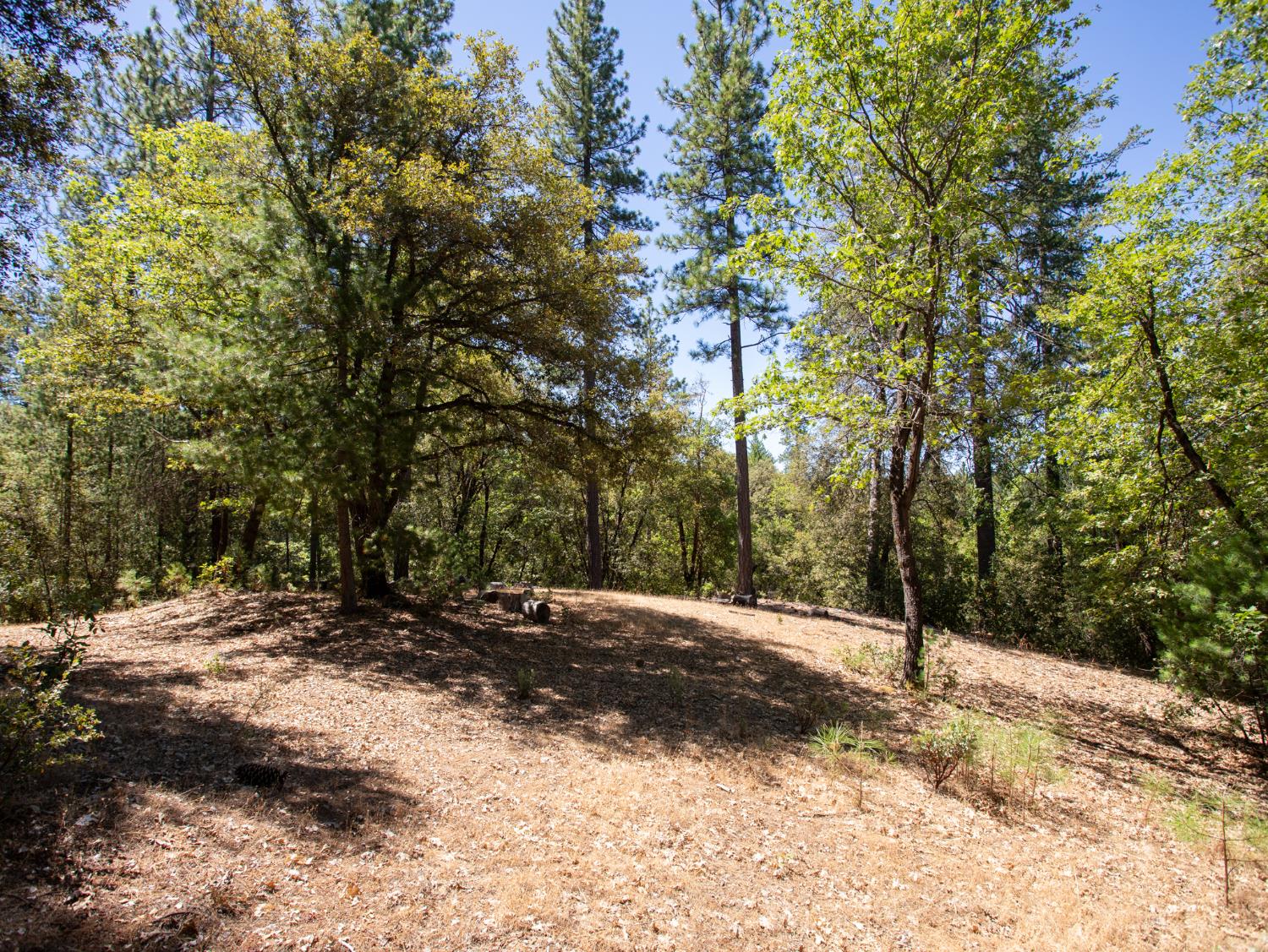 21285 Cottonwood Lane
