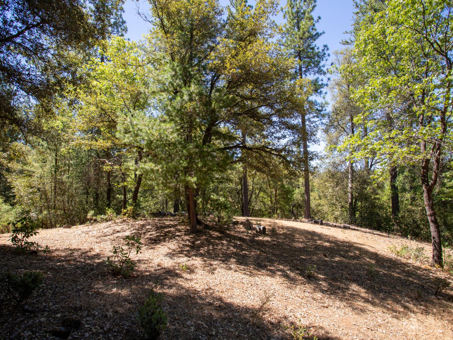 21285 Cottonwood Lane