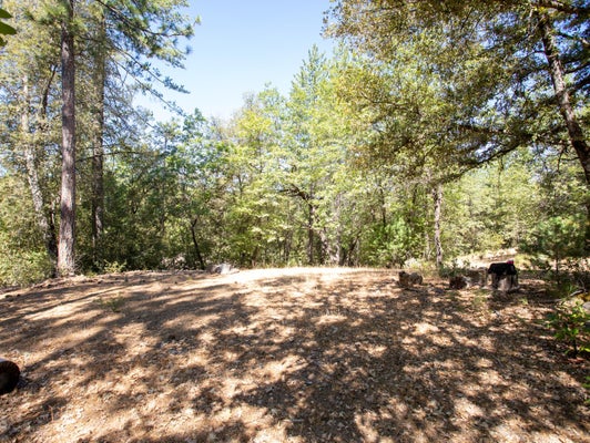 21285 COTTONWOOD LN, PINE GROVE, CA 95665 - Image 7515d8a66872d4e89fa30df1f7898230/2122241642