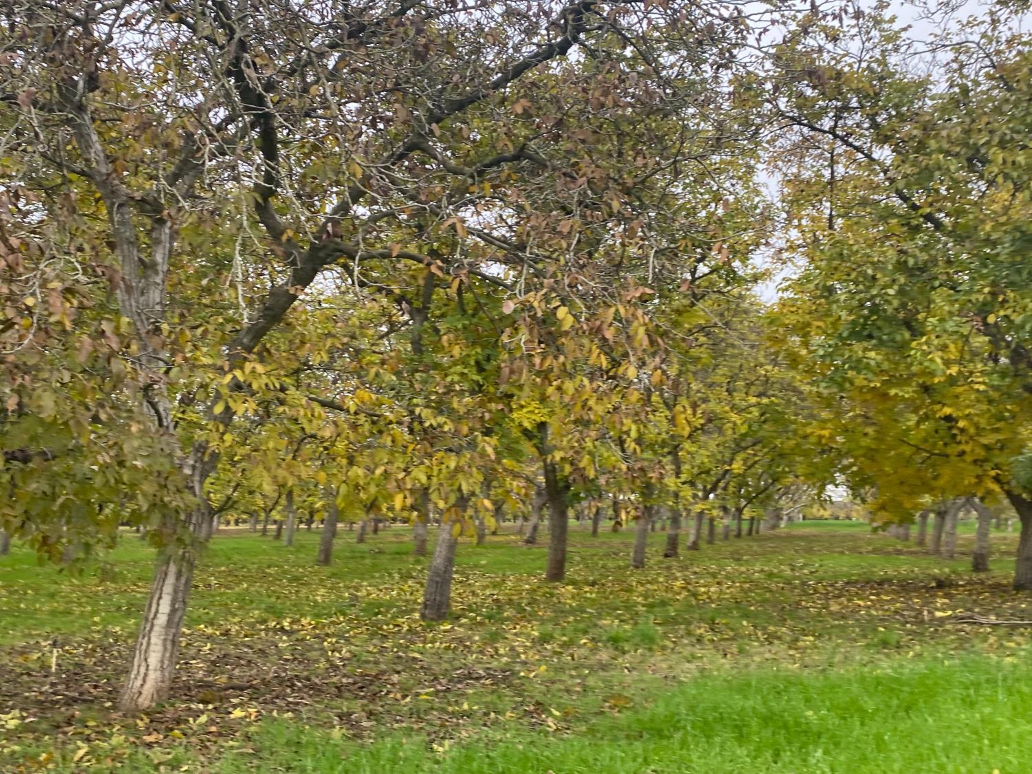 10201 E Fairchild Road