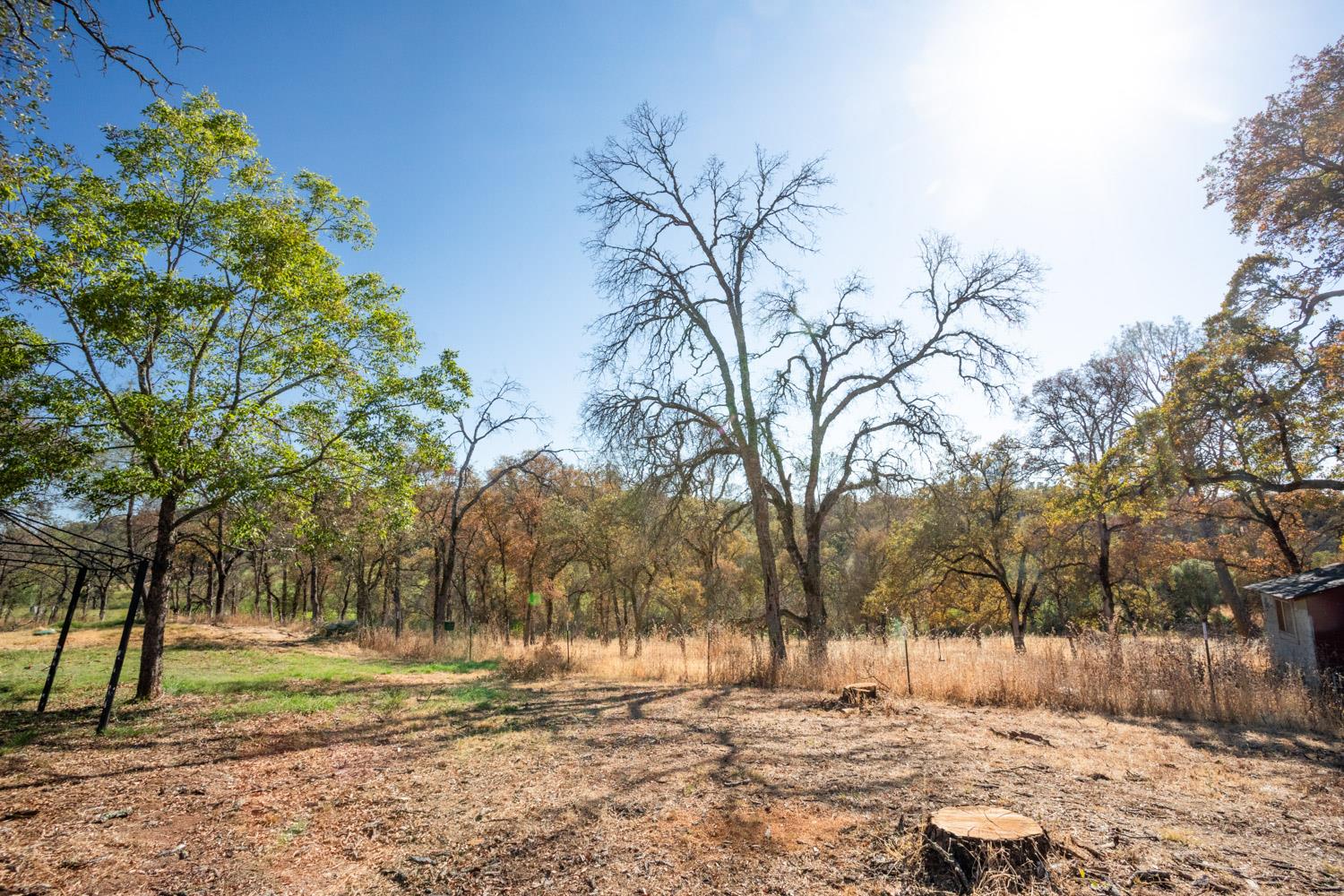 Marysville, California 95901, United States, 3 Bedrooms Bedrooms, ,2 BathroomsBathrooms,Residential,Active,198048