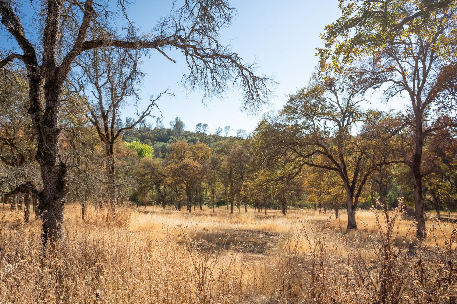 Marysville, California 95901, United States, 3 Bedrooms Bedrooms, ,2 BathroomsBathrooms,Residential,Active,198048