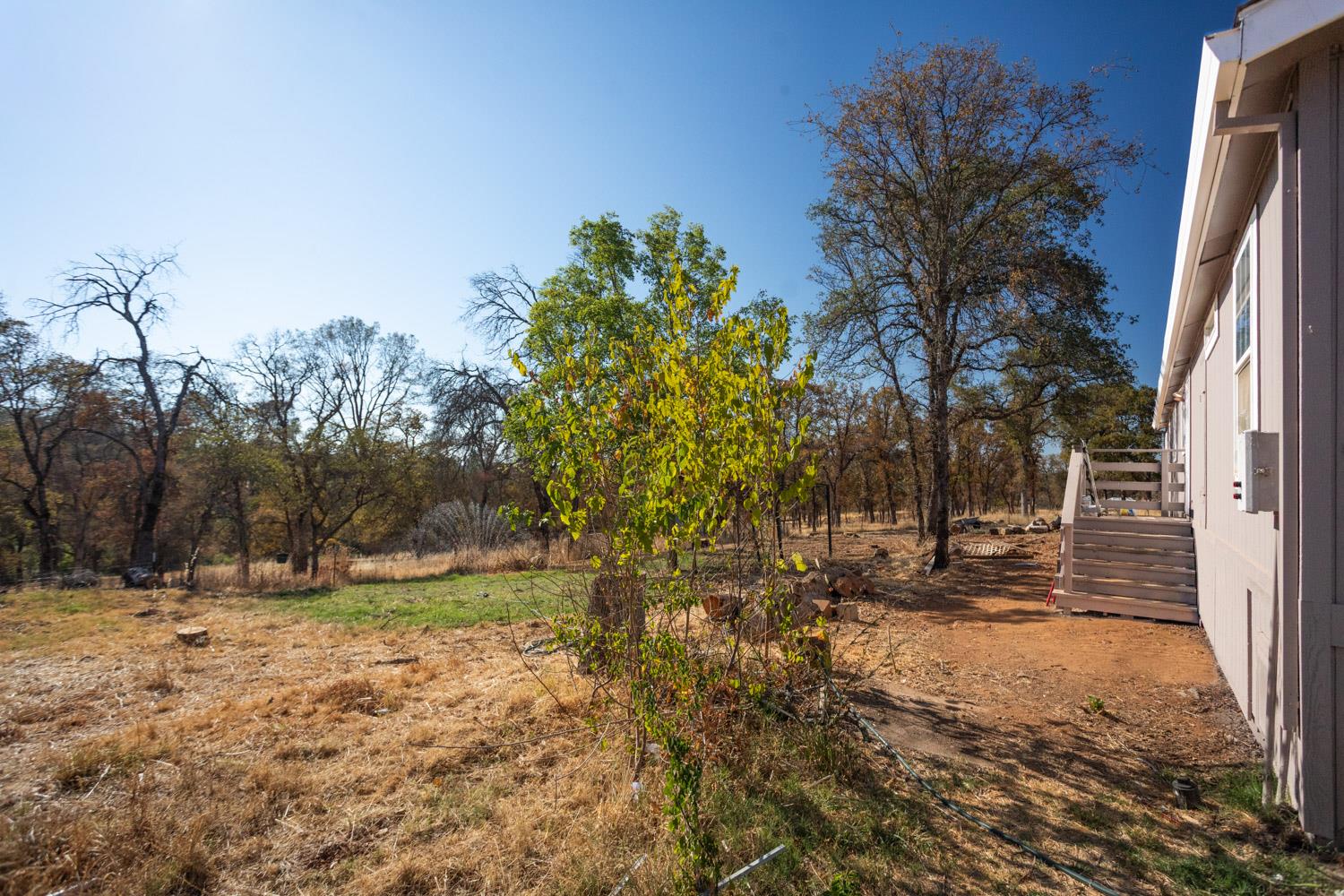 Marysville, California 95901, United States, 3 Bedrooms Bedrooms, ,2 BathroomsBathrooms,Residential,Active,198048