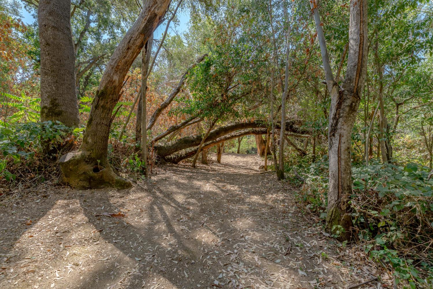 5520 Virginiatown Road