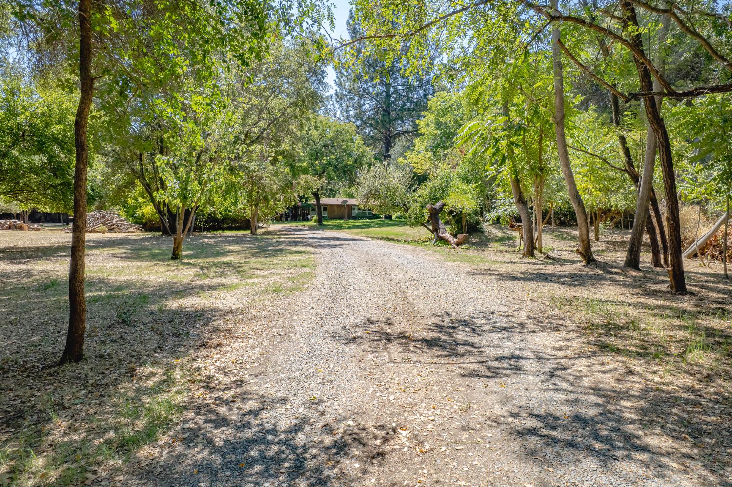 5520 Virginiatown Road