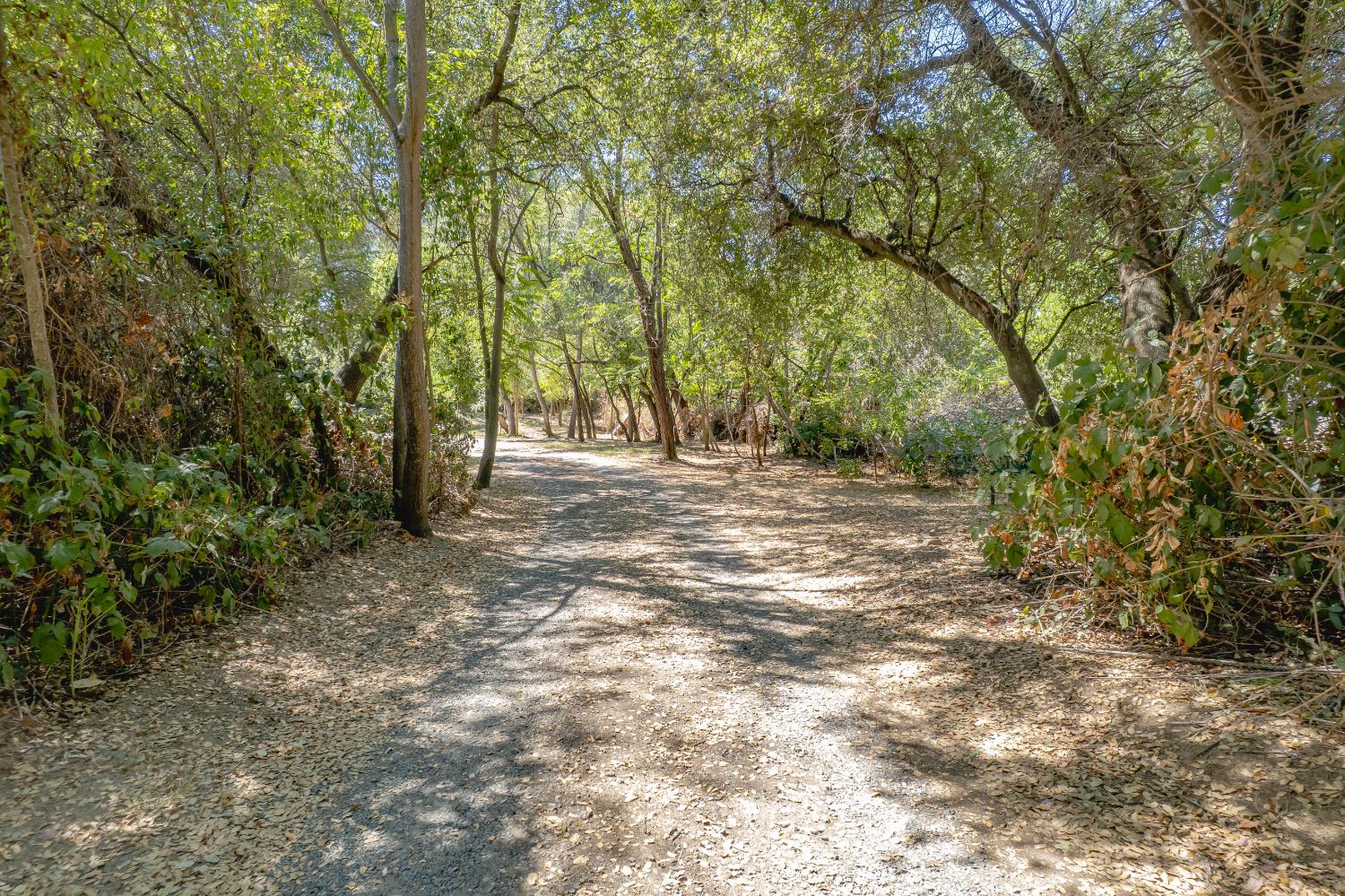 5520 Virginiatown Road