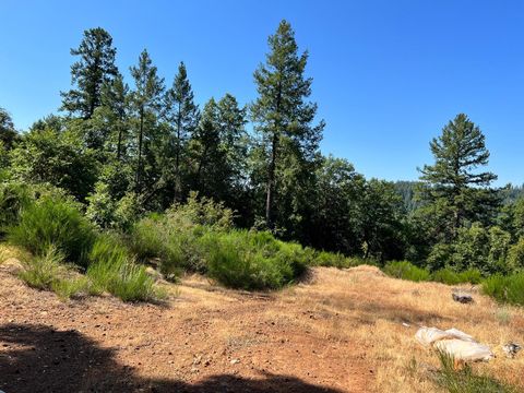 MLS: 225002131