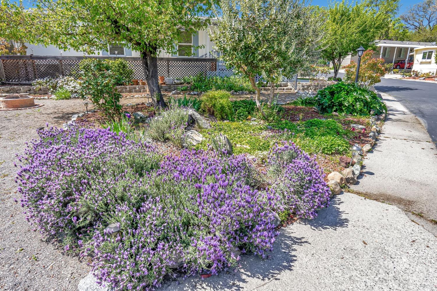 4800 Auburn Folsom Road 78
