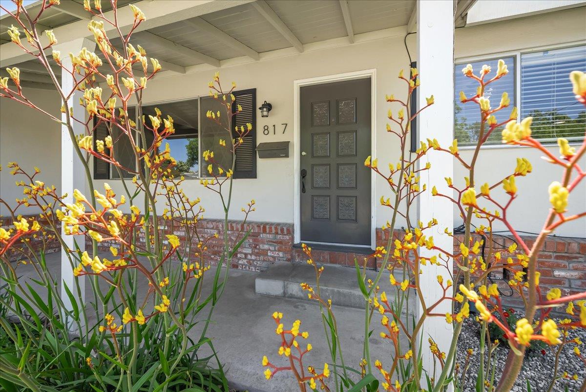 817 Oakland Avenue