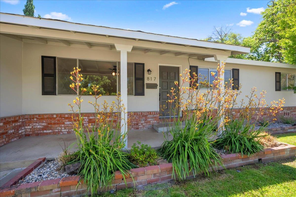 817 Oakland Avenue