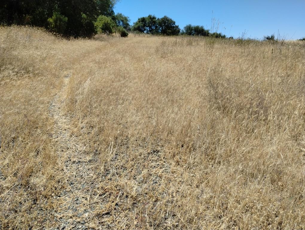 17919 Kemo Lane
