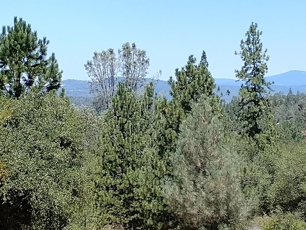 17919 Kemo Lane