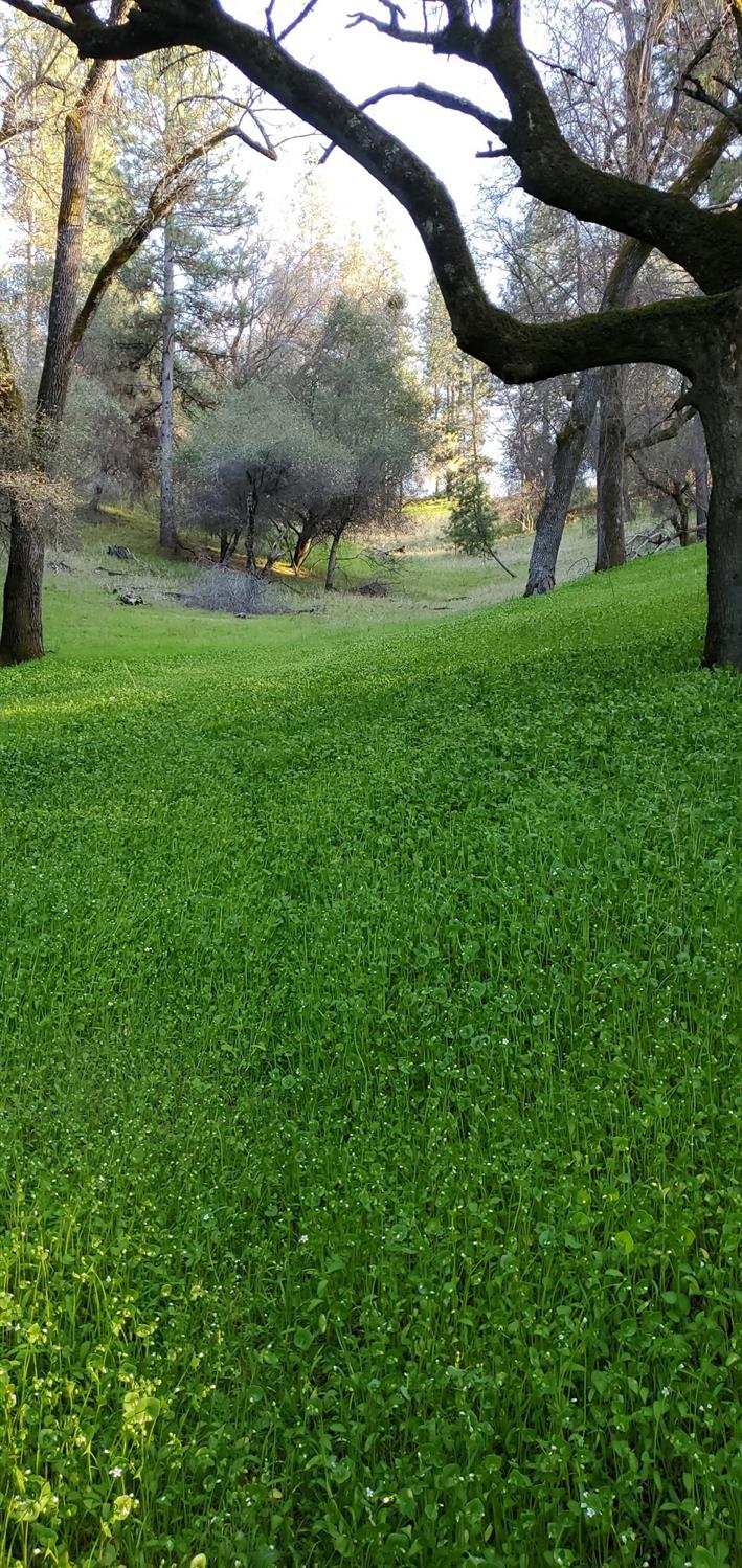 Placerville, California 95667, United States, 2 Bedrooms Bedrooms, ,2 BathroomsBathrooms,Residential,Pending,114637