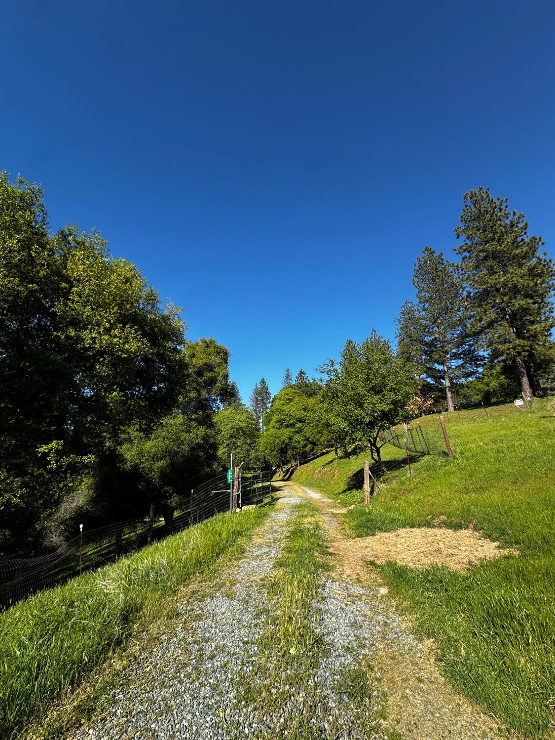 Placerville, California 95667, United States, 2 Bedrooms Bedrooms, ,2 BathroomsBathrooms,Residential,Pending,114637