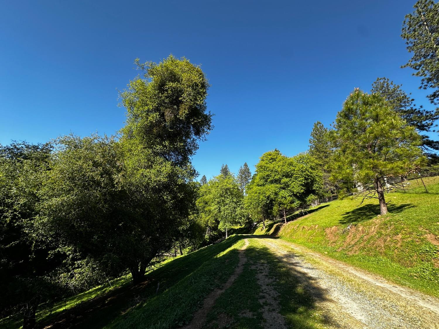 Placerville, California 95667, United States, 2 Bedrooms Bedrooms, ,2 BathroomsBathrooms,Residential,Pending,114637