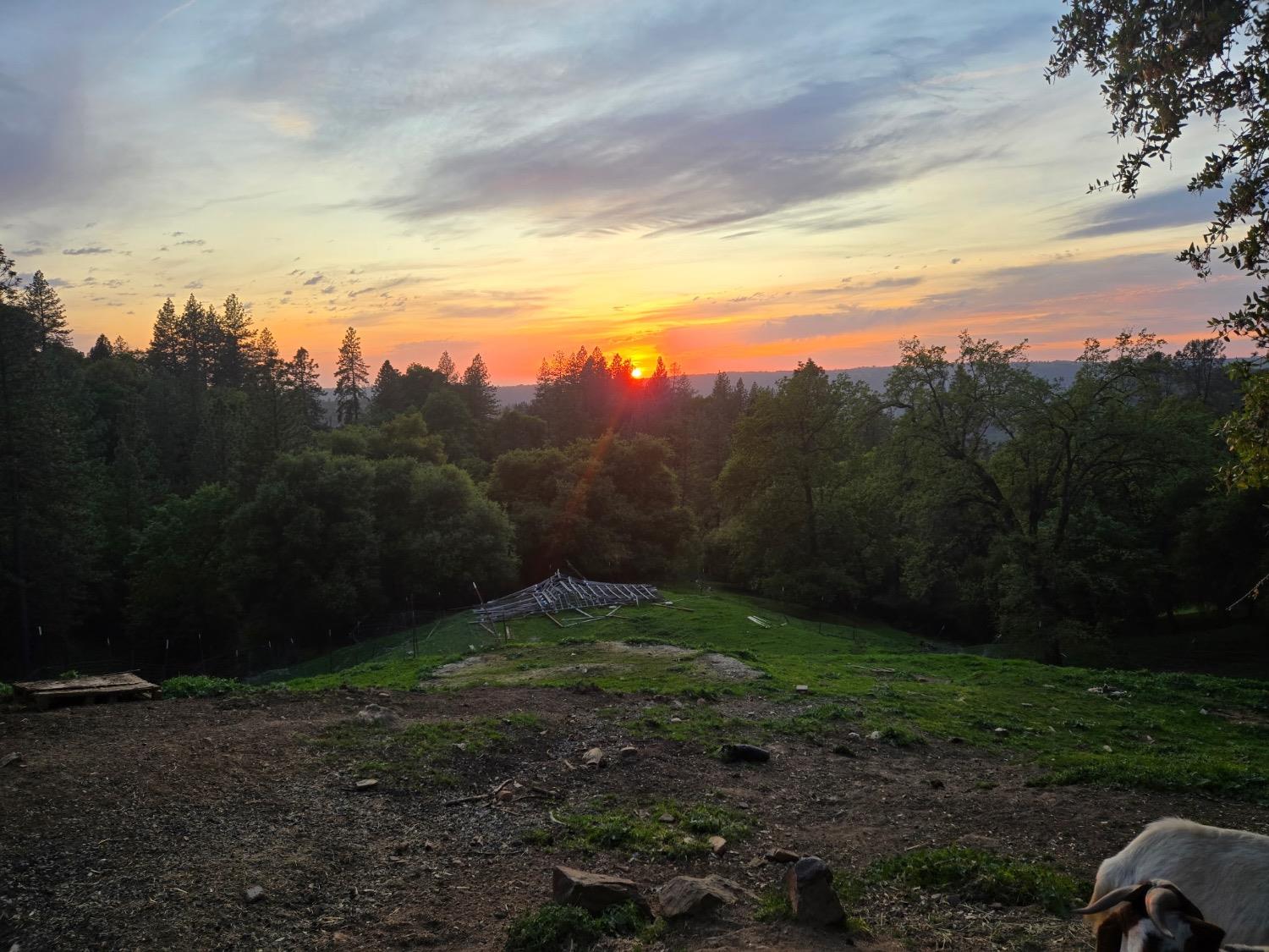 Placerville, California 95667, United States, 2 Bedrooms Bedrooms, ,2 BathroomsBathrooms,Residential,Pending,114637