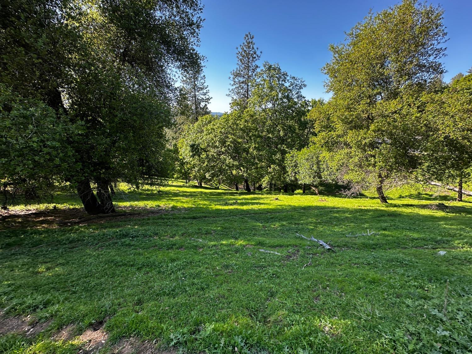 Placerville, California 95667, United States, 2 Bedrooms Bedrooms, ,2 BathroomsBathrooms,Residential,Pending,114637