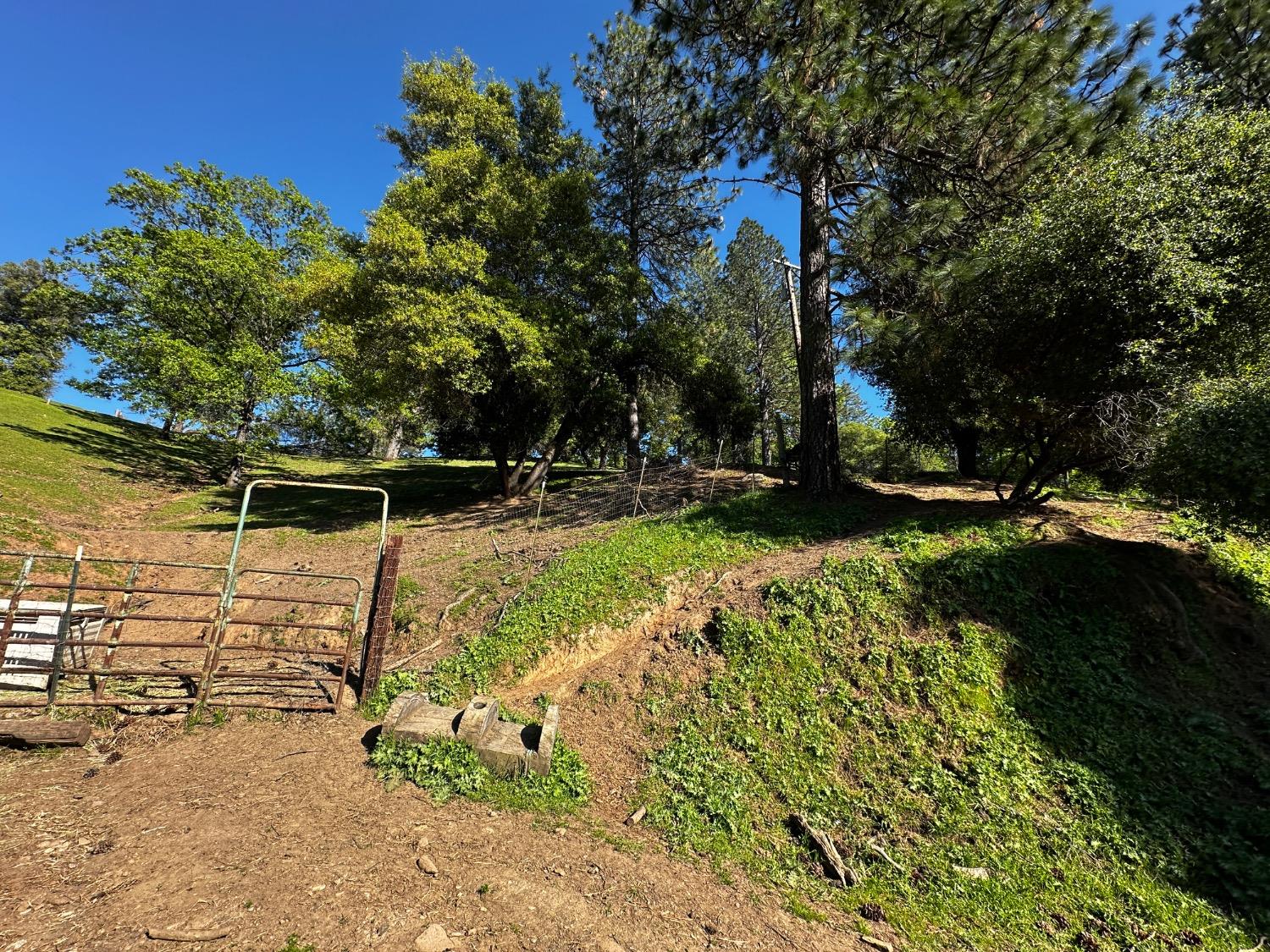 Placerville, California 95667, United States, 2 Bedrooms Bedrooms, ,2 BathroomsBathrooms,Residential,Pending,114637