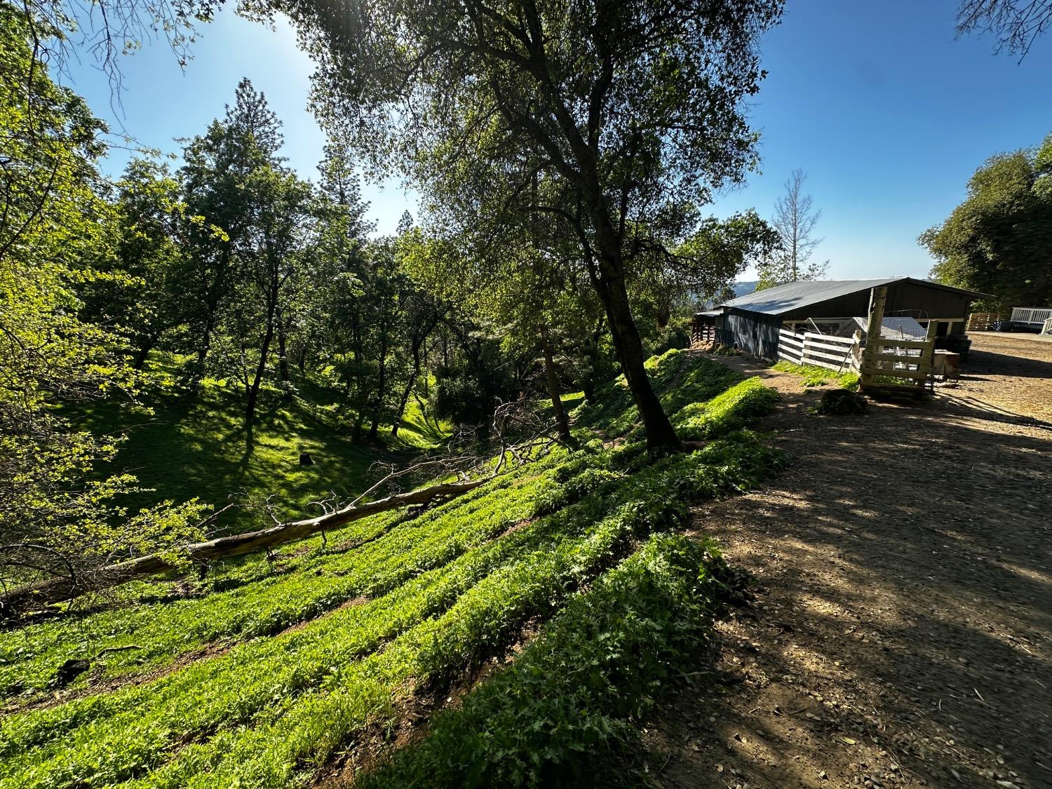 Placerville, California 95667, United States, 2 Bedrooms Bedrooms, ,2 BathroomsBathrooms,Residential,Pending,114637