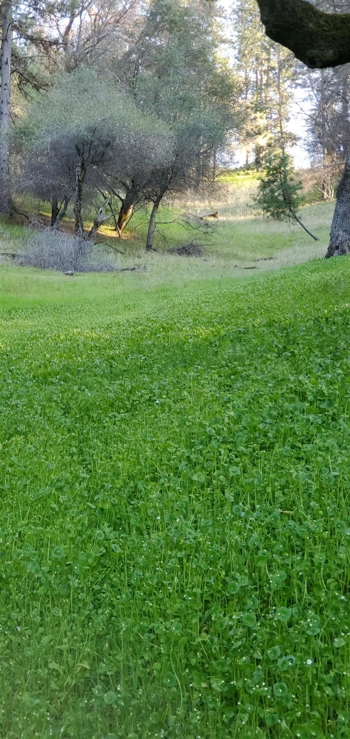 Placerville, California 95667, United States, 2 Bedrooms Bedrooms, ,2 BathroomsBathrooms,Residential,Pending,114637