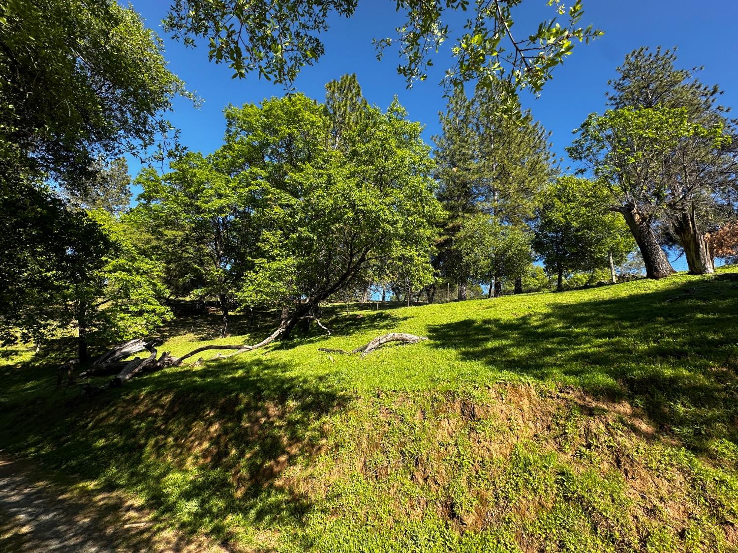 Placerville, California 95667, United States, 2 Bedrooms Bedrooms, ,2 BathroomsBathrooms,Residential,Pending,114637