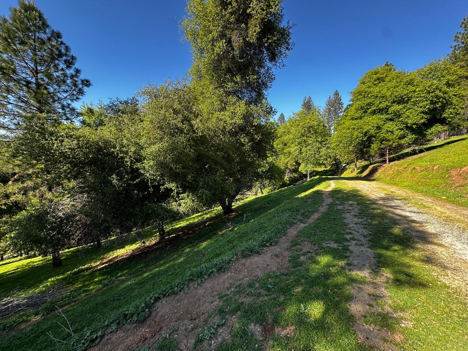 Placerville, California 95667, United States, 2 Bedrooms Bedrooms, ,2 BathroomsBathrooms,Residential,Pending,114637