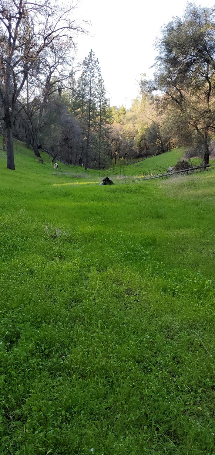 Placerville, California 95667, United States, 2 Bedrooms Bedrooms, ,2 BathroomsBathrooms,Residential,Pending,114637