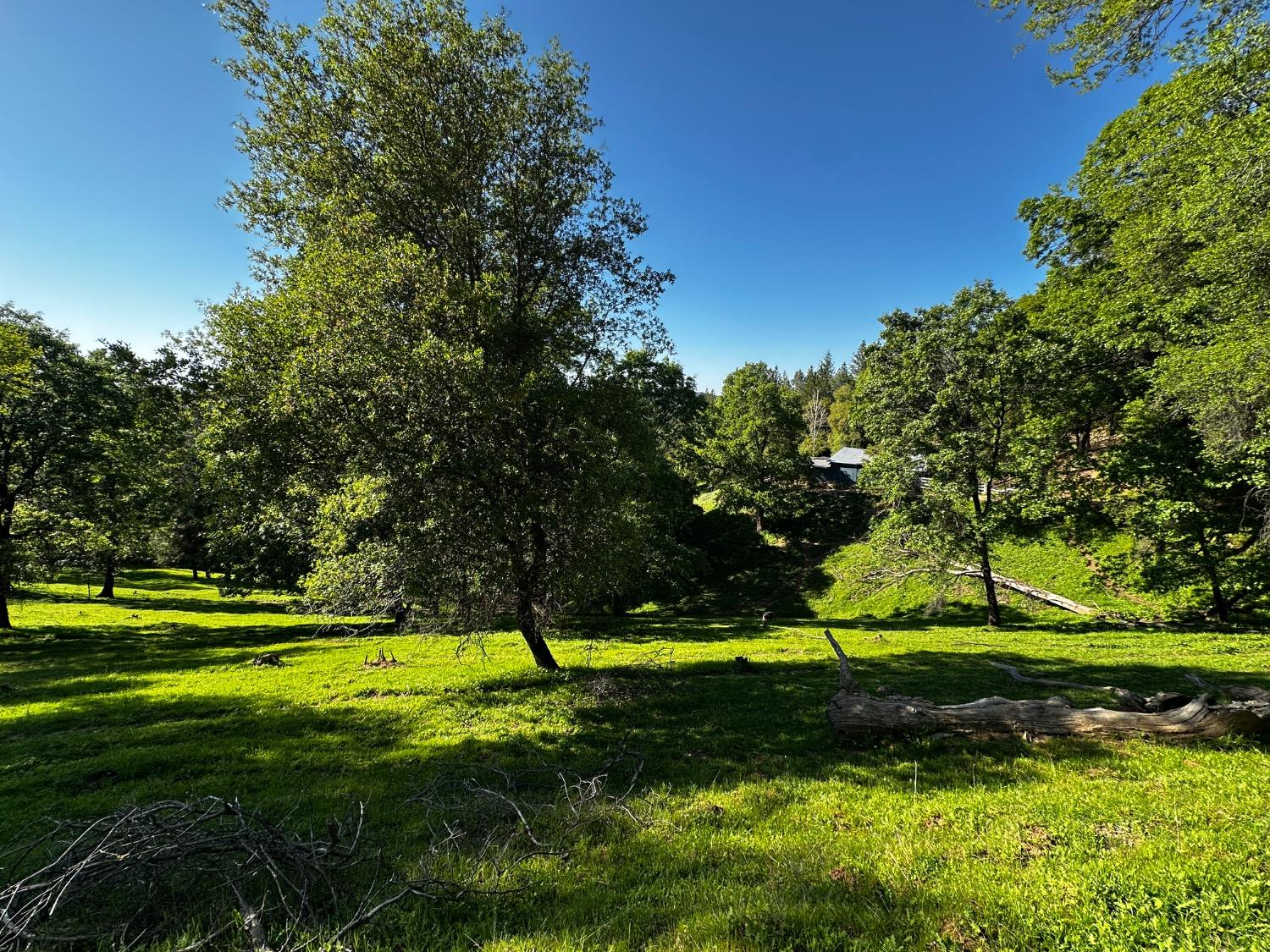 Placerville, California 95667, United States, 2 Bedrooms Bedrooms, ,2 BathroomsBathrooms,Residential,Pending,114637