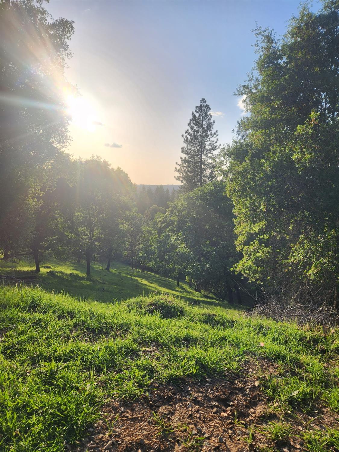 Placerville, California 95667, United States, 2 Bedrooms Bedrooms, ,2 BathroomsBathrooms,Residential,Pending,114637