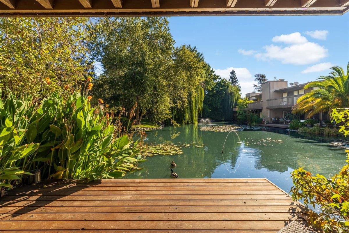 2418 Larkspur Lane 227