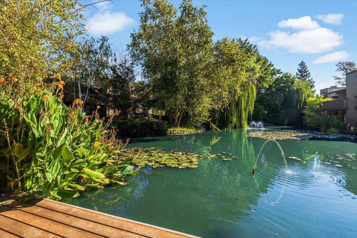 2418 Larkspur Lane 227