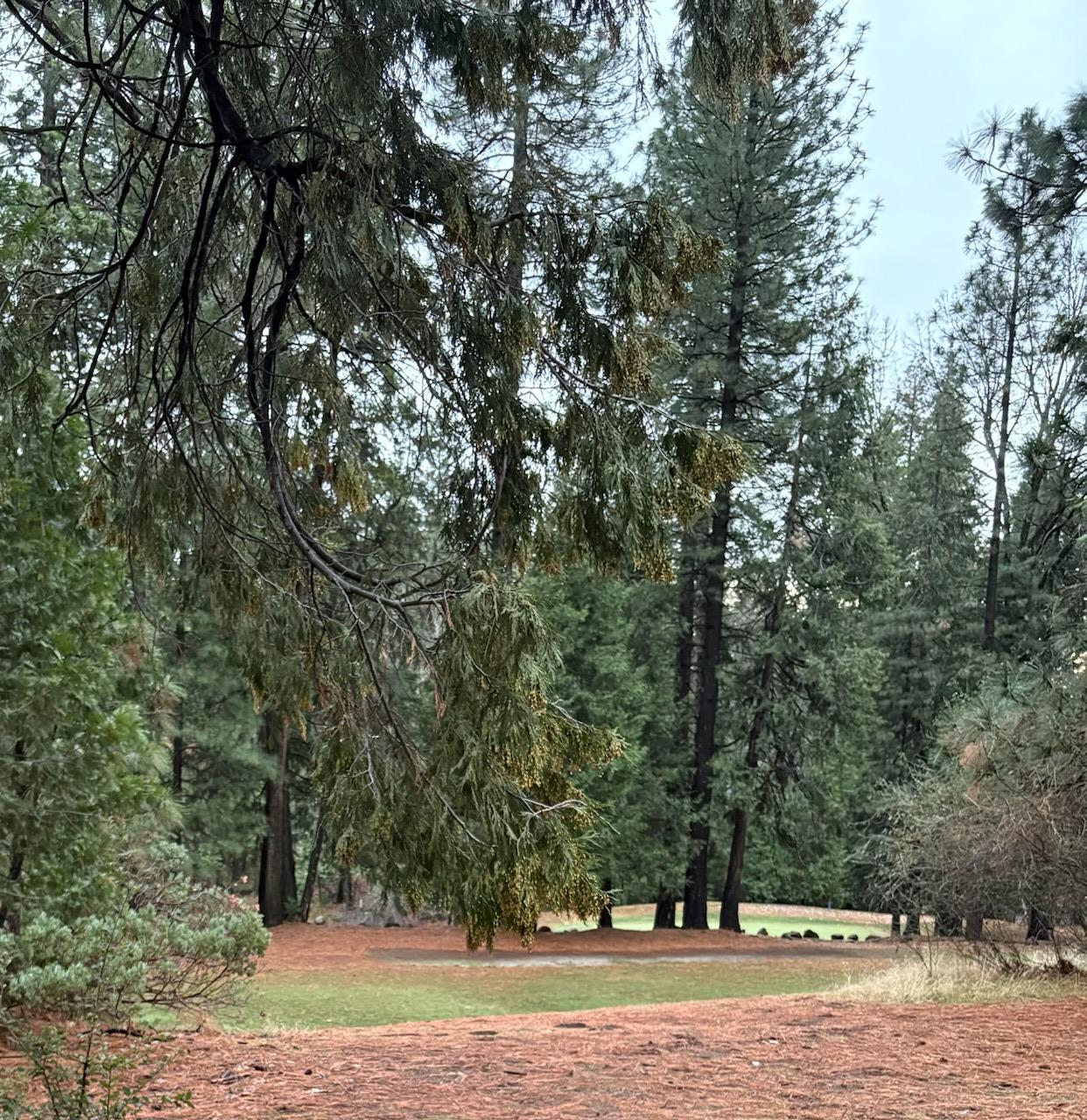 303 Fairway Village Drive