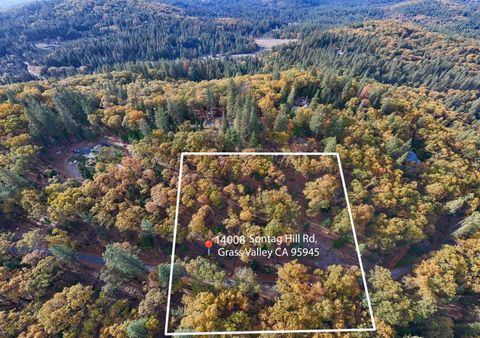 MLS: 225013560