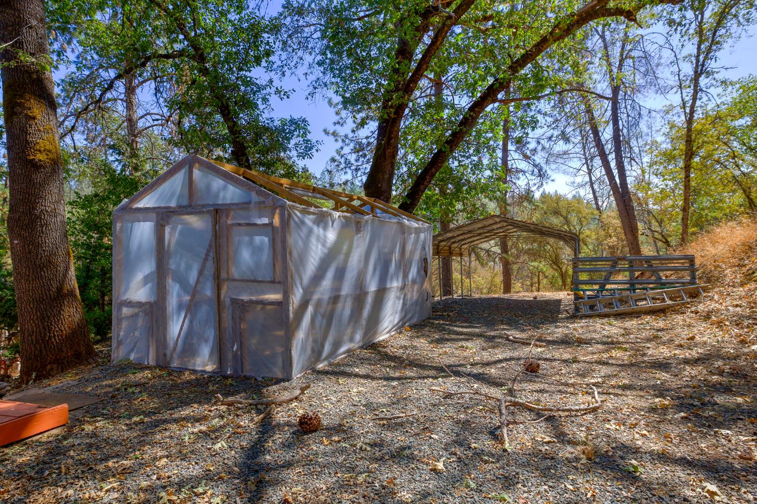 15241 Magnolia Road