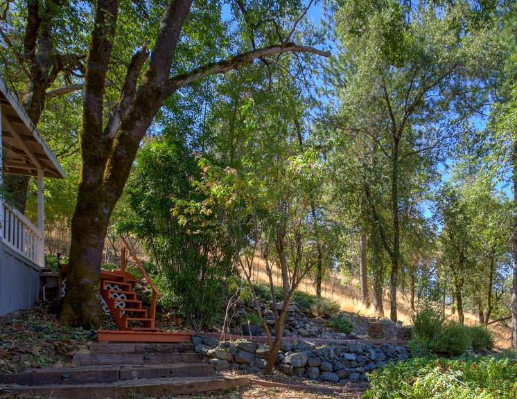 15241 Magnolia Road