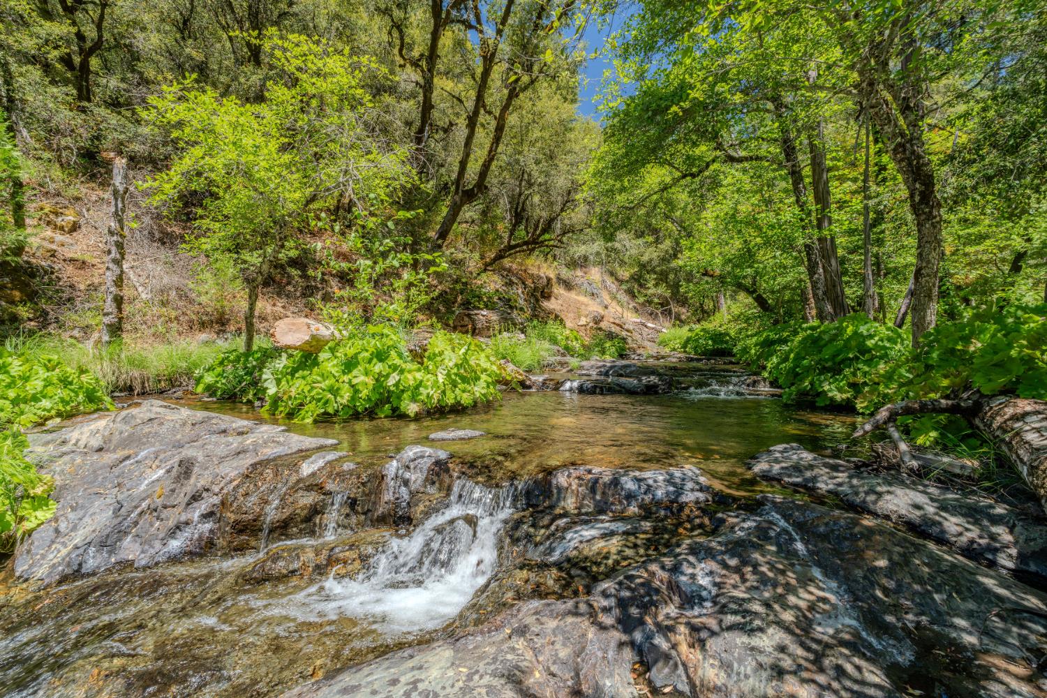 7401 Schaad Road