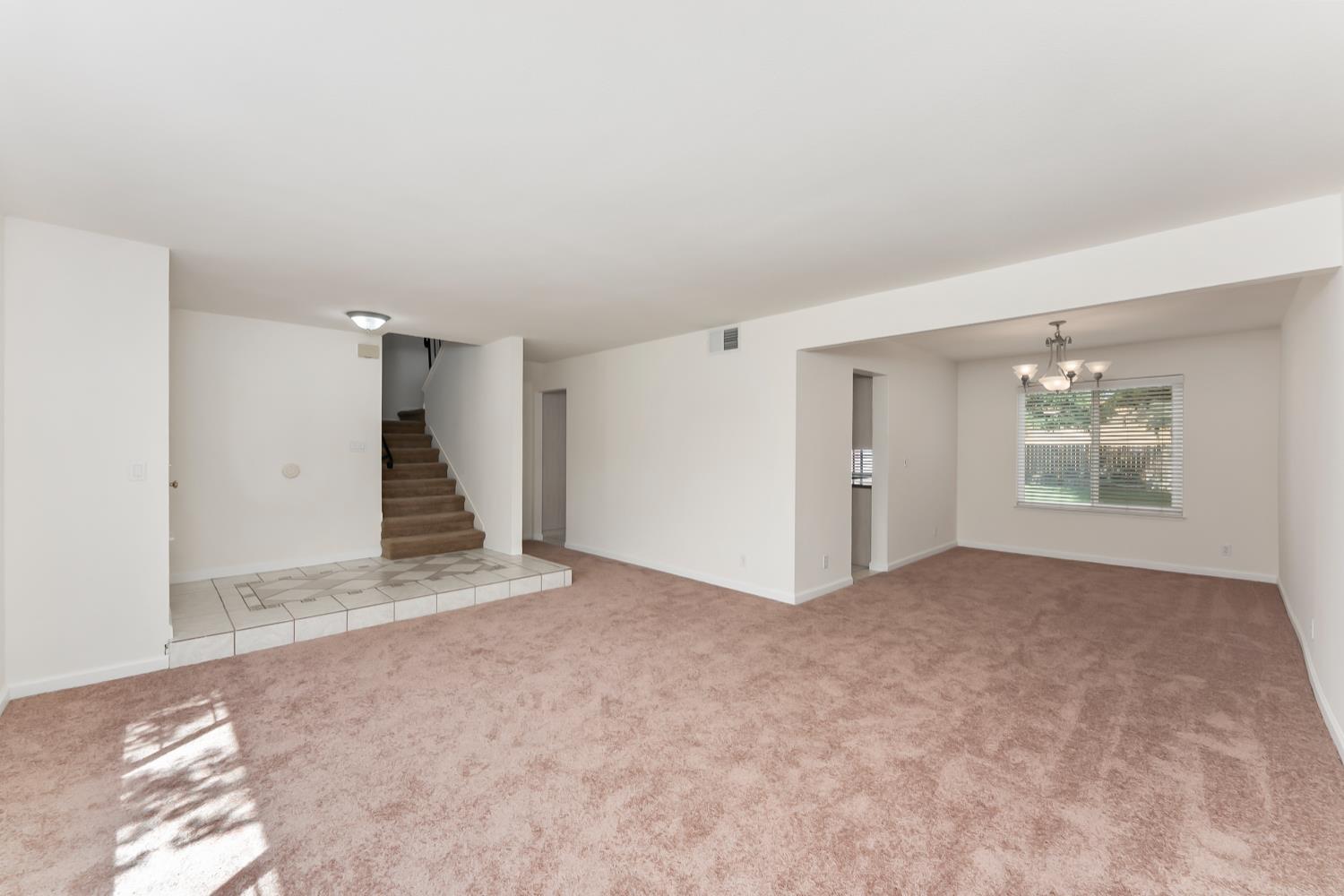 1293 Nadene Drive