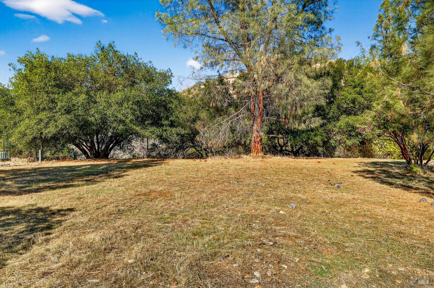 3245 Weeping Willow Way