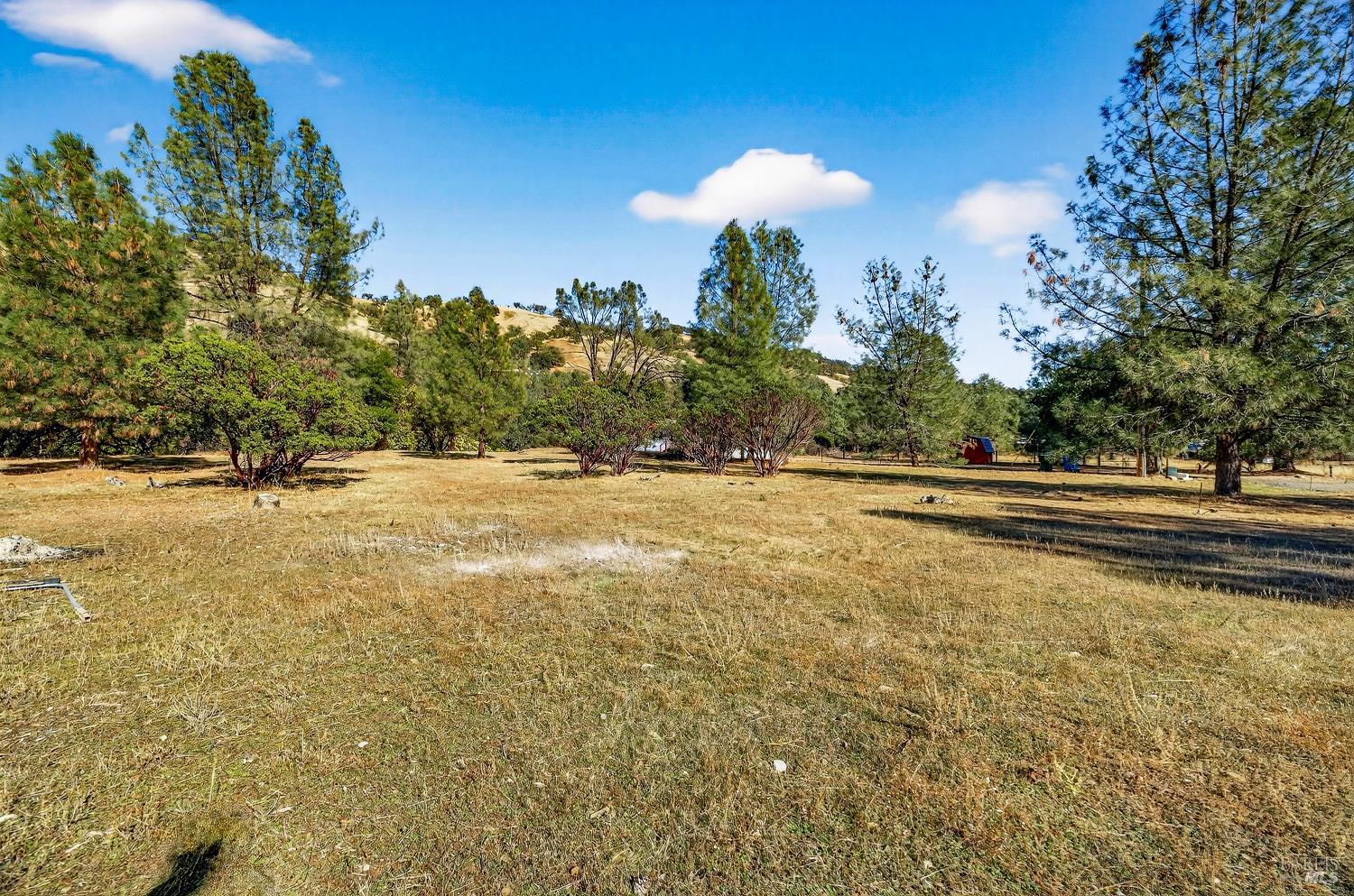3245 Weeping Willow Way