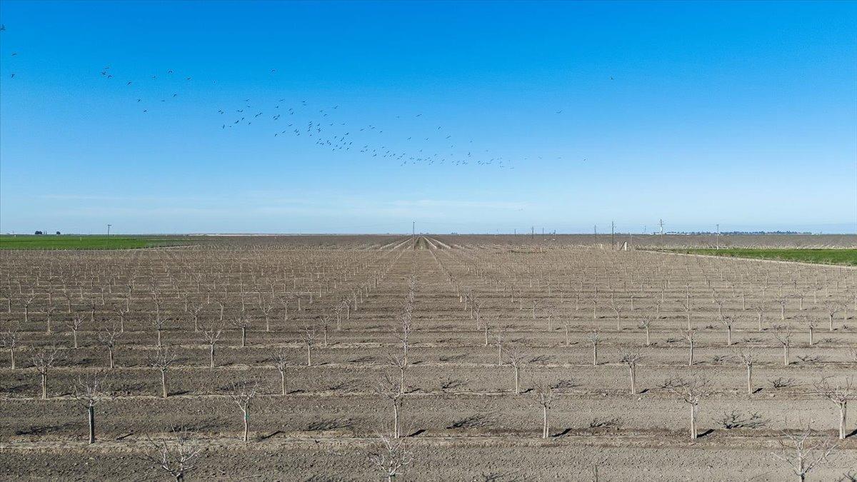 Chowchilla, California 93610, United States, ,Land,Active,7068